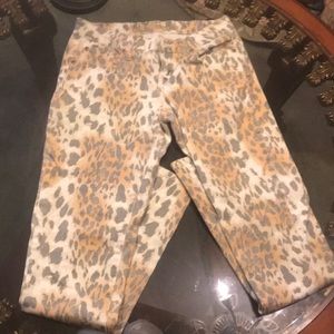 🐯Wall Flower Leopard Jeans  🐯
